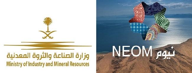 Read more about the article Energy System organizes a joint workshop with NEOM